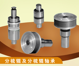分梳輥及分梳輥軸承 